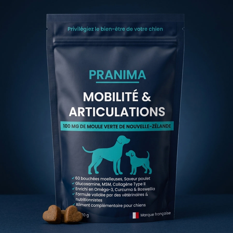 Sachet Pranima Mobilité & Articulations